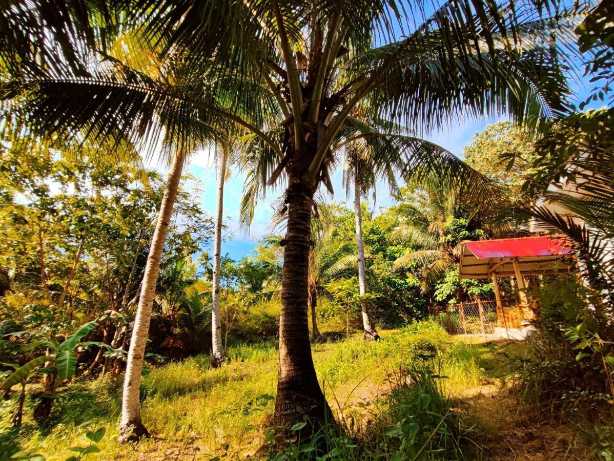 Rose Apartments Anda (Visayas) Exterior foto