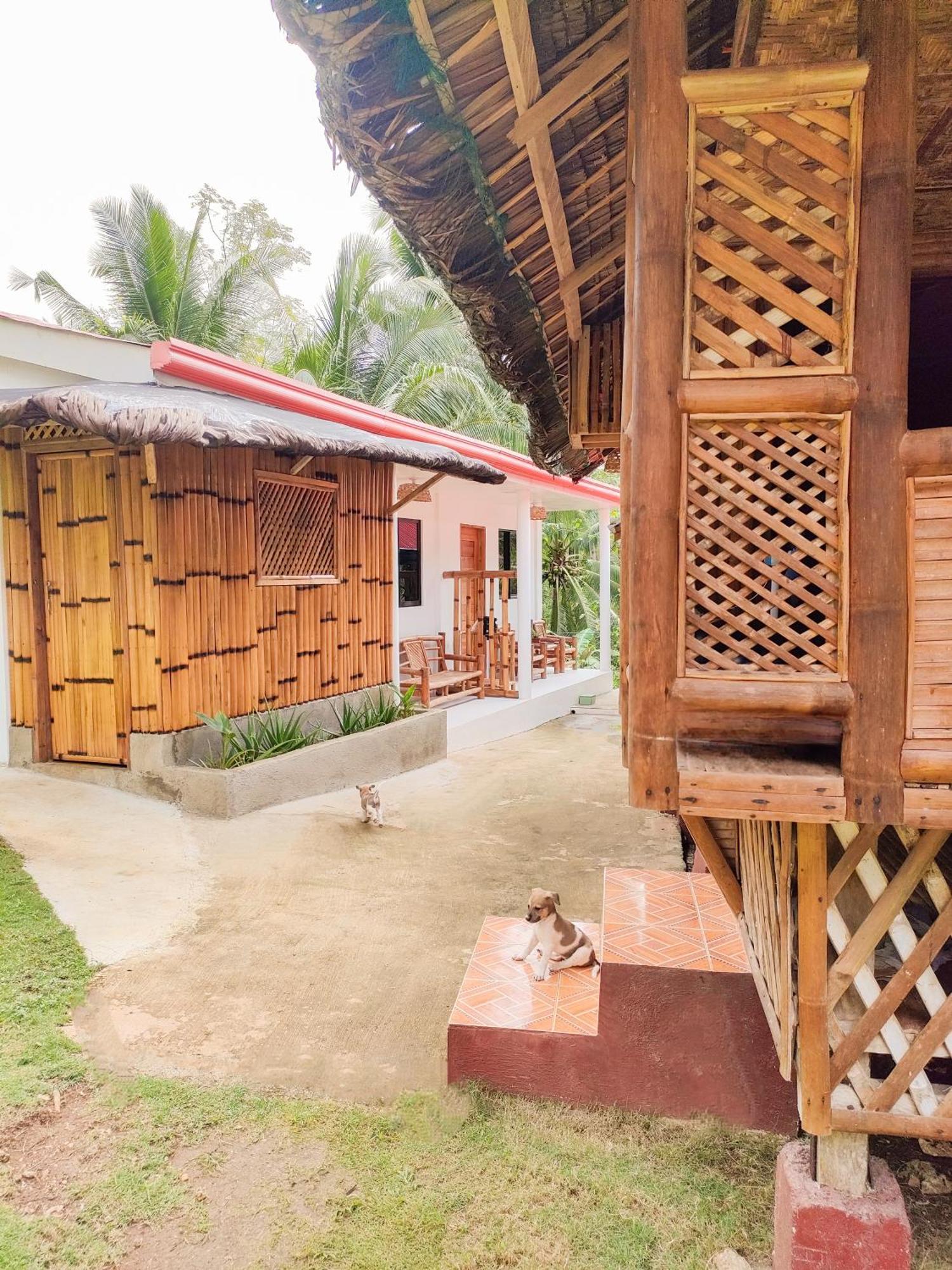Rose Apartments Anda (Visayas) Exterior foto