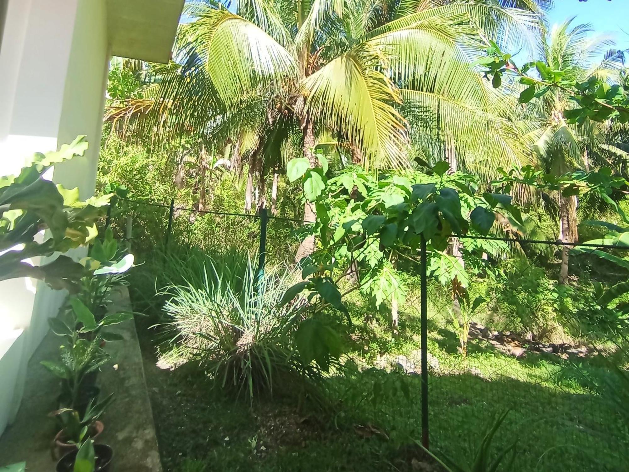 Rose Apartments Anda (Visayas) Exterior foto
